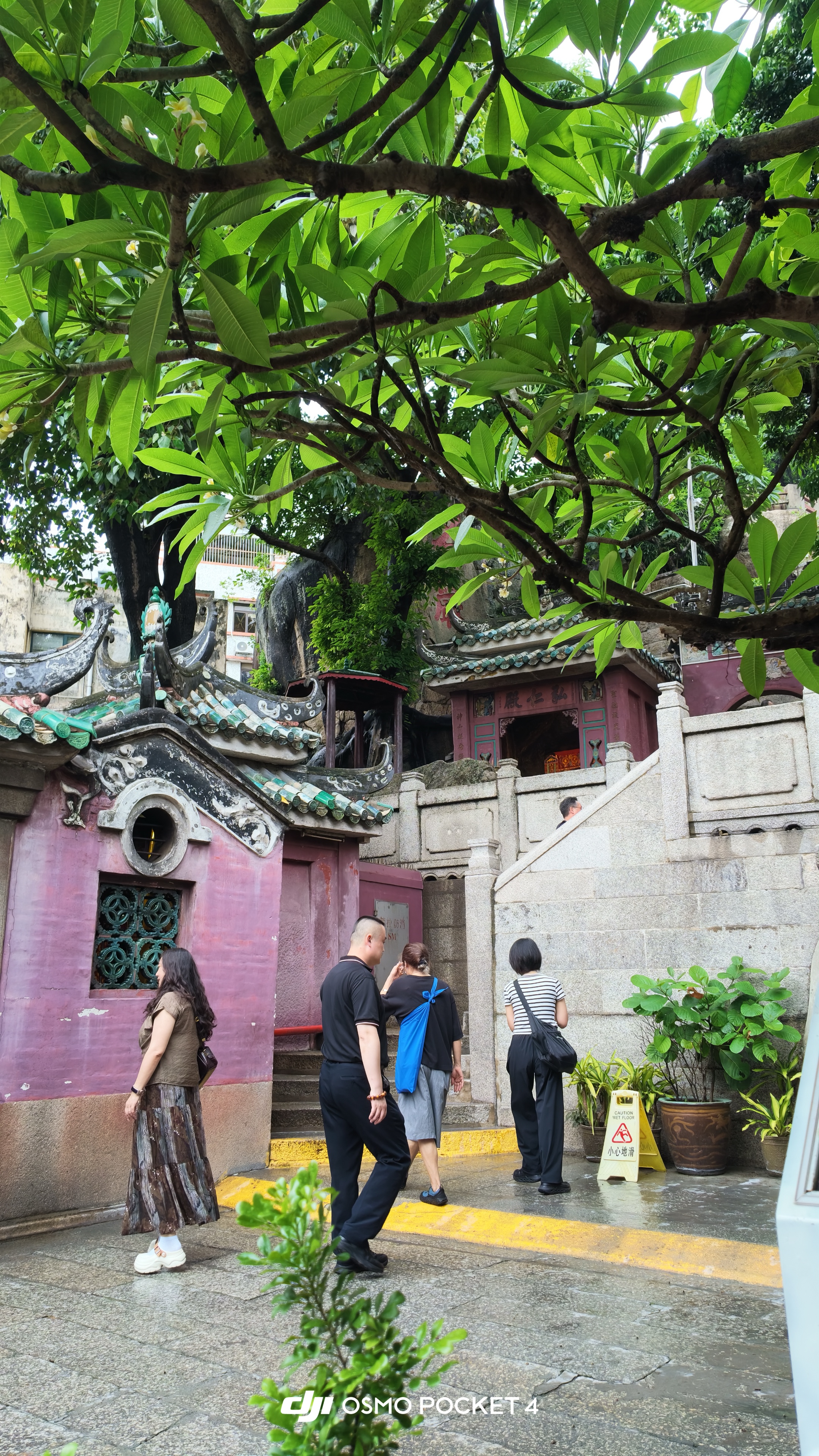 石階往上