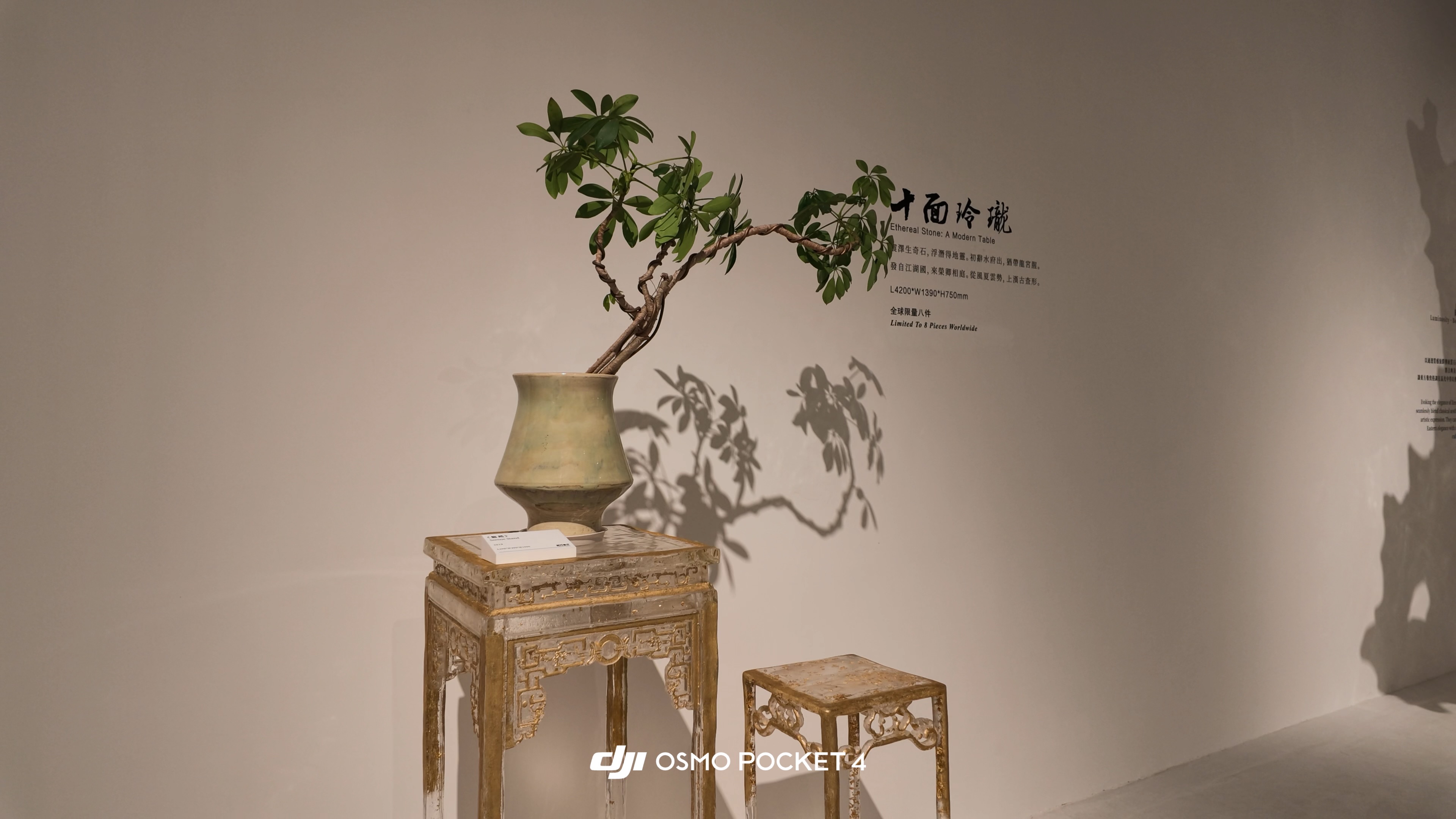 晶 · 潤自在
