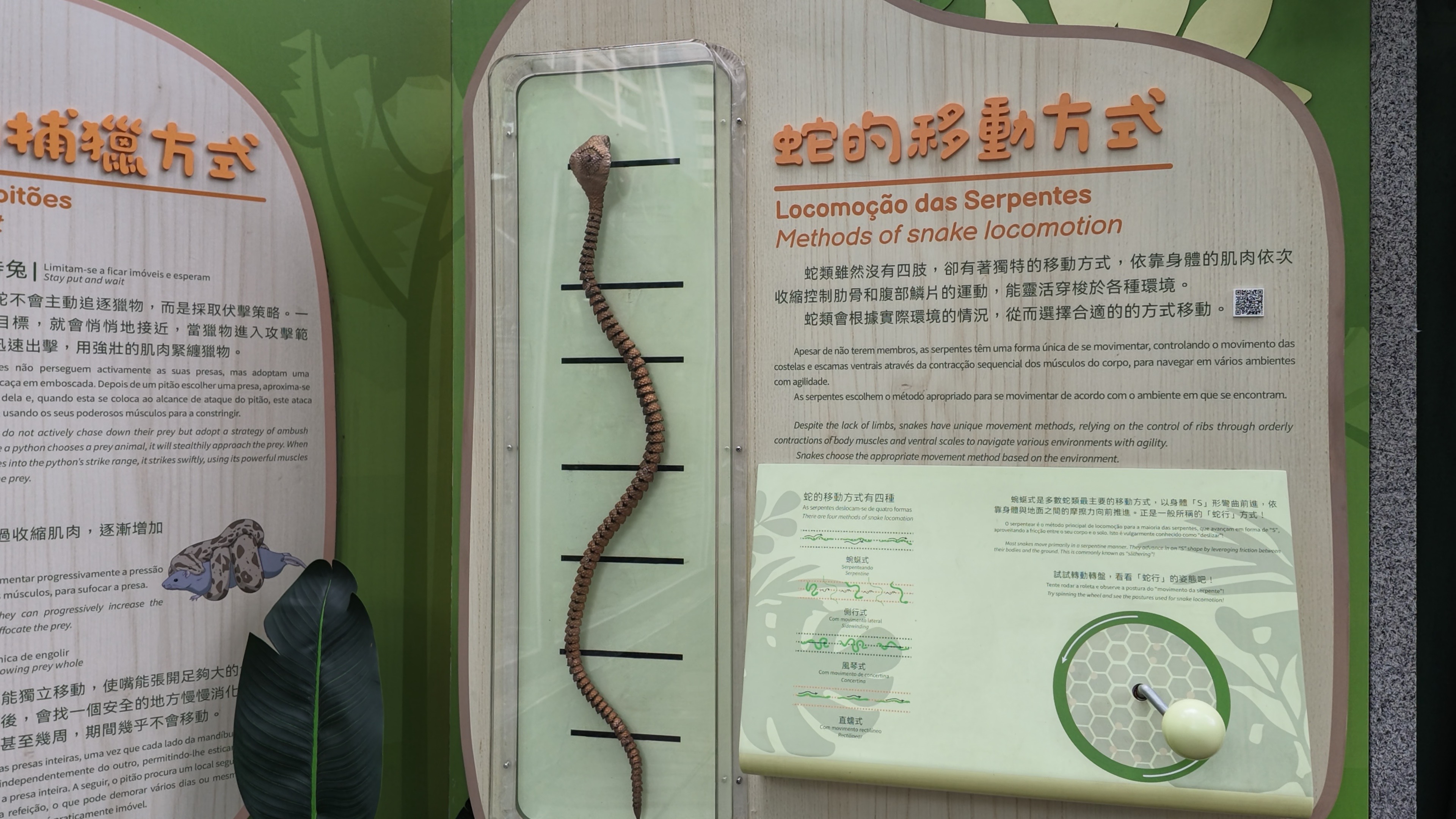 科普展示