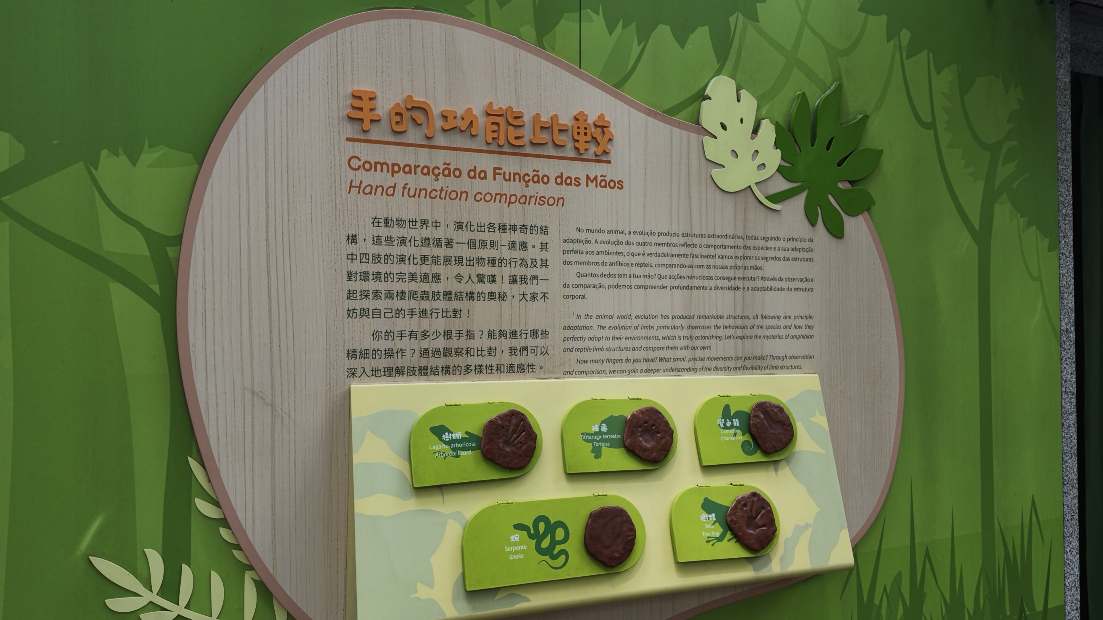 科普展示