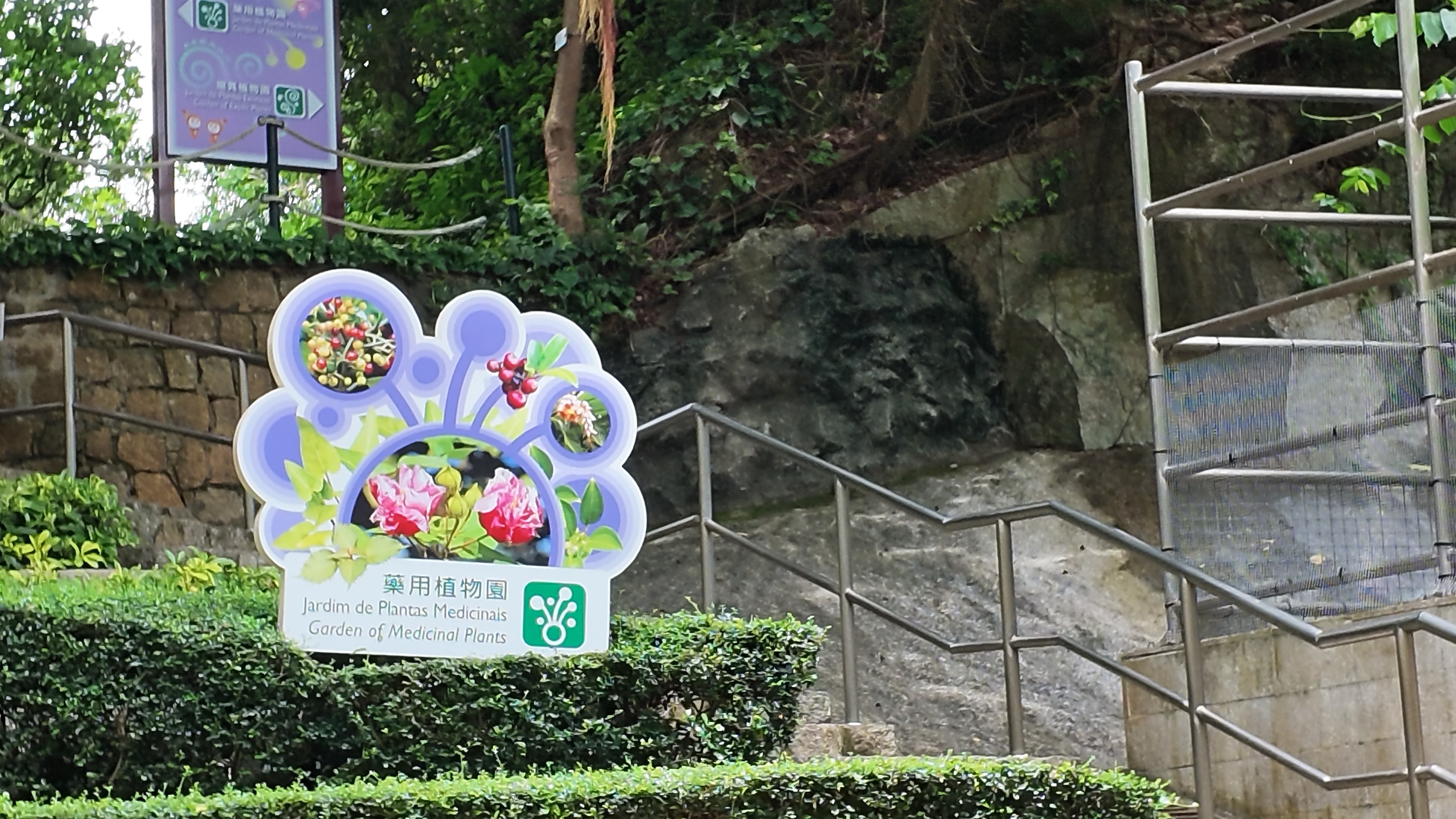 藥用植物園