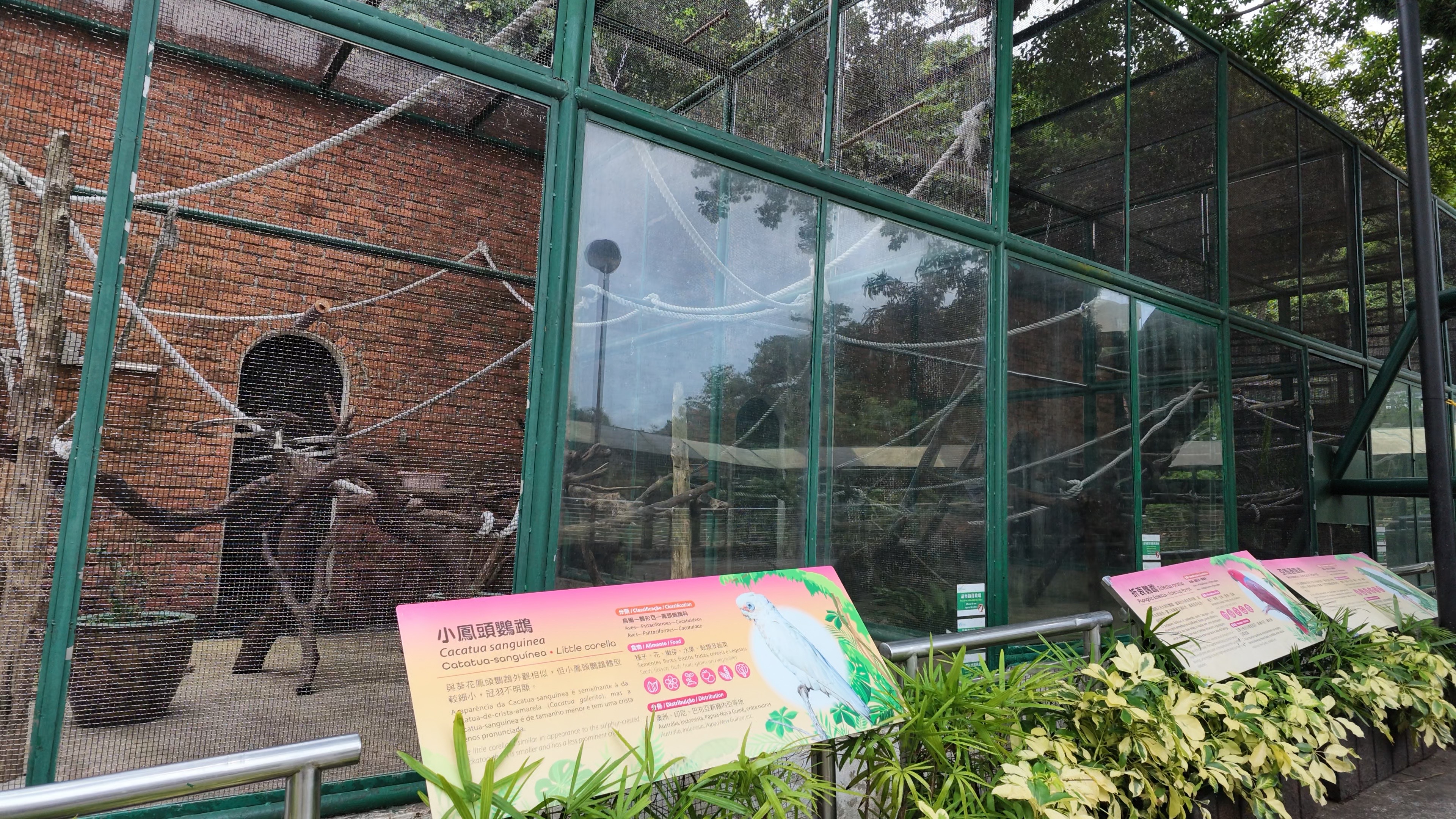 鸚鵡區