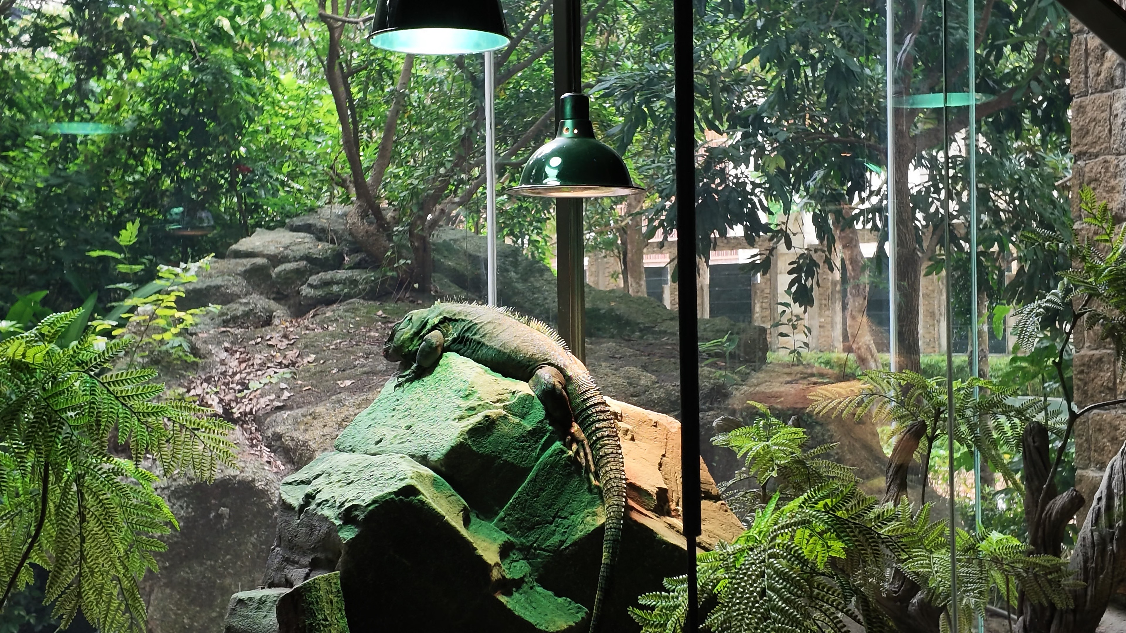 展品