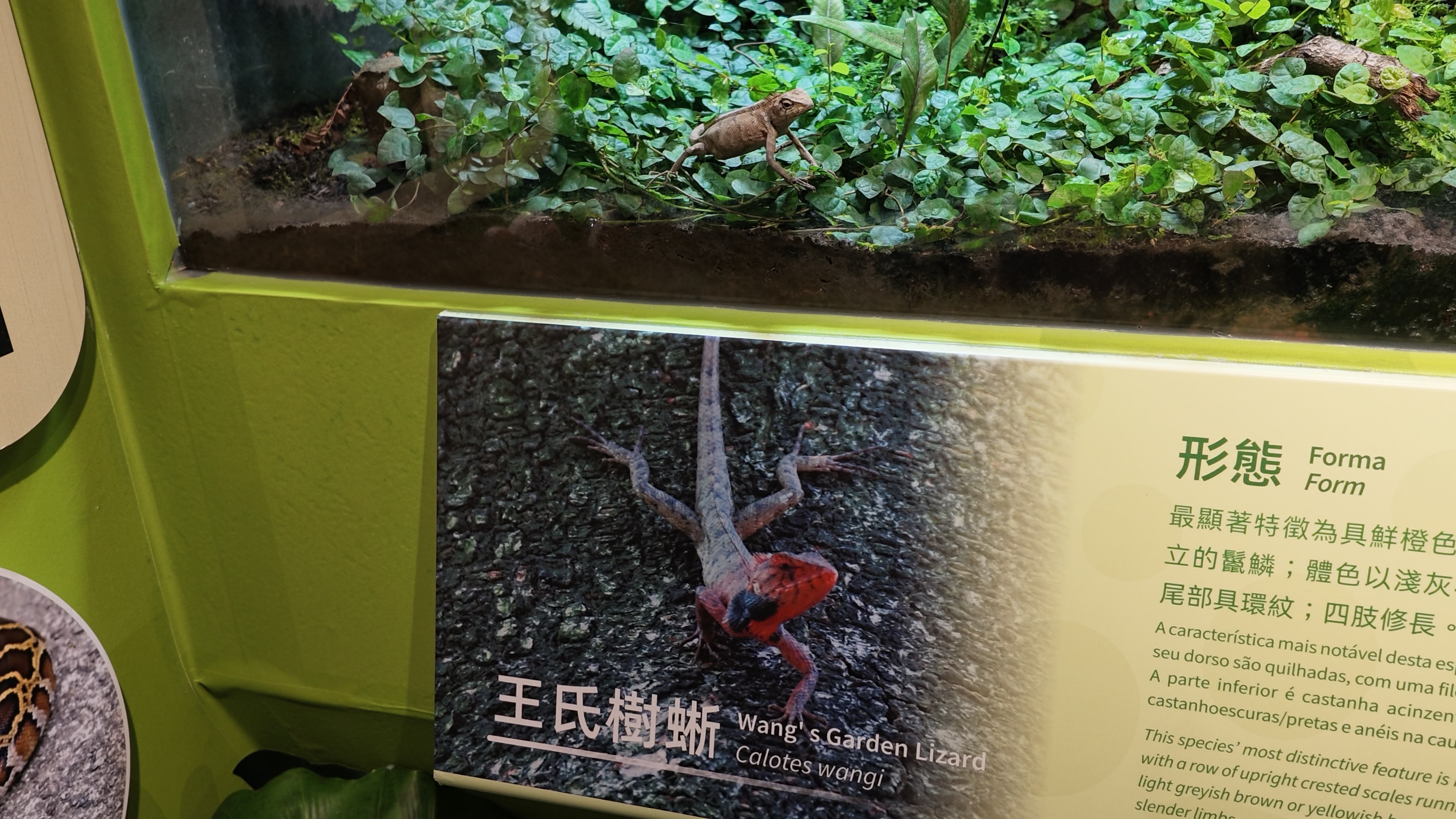 展品